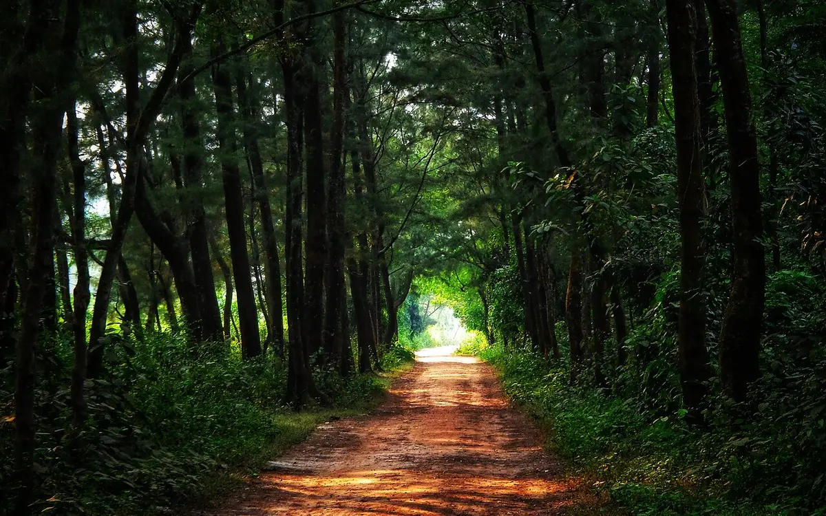 যমুনা সেতু পশ্চিম পাড়, সিরাজগঞ্জ