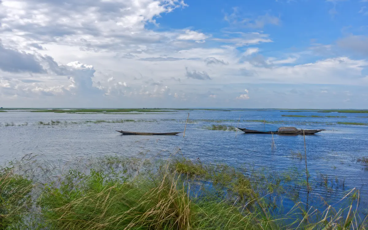 চলনবিল, নাটোর