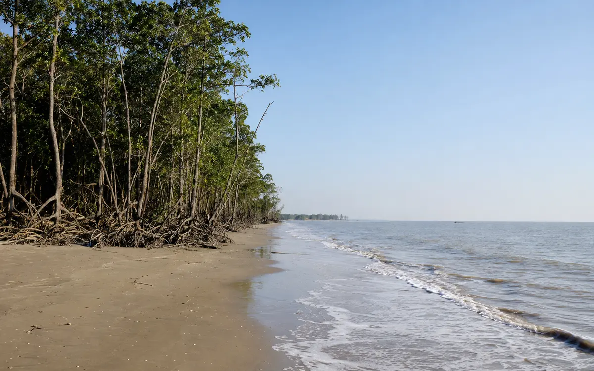 গঙ্গামতি সংরক্ষিত বন, পটুয়াখালী