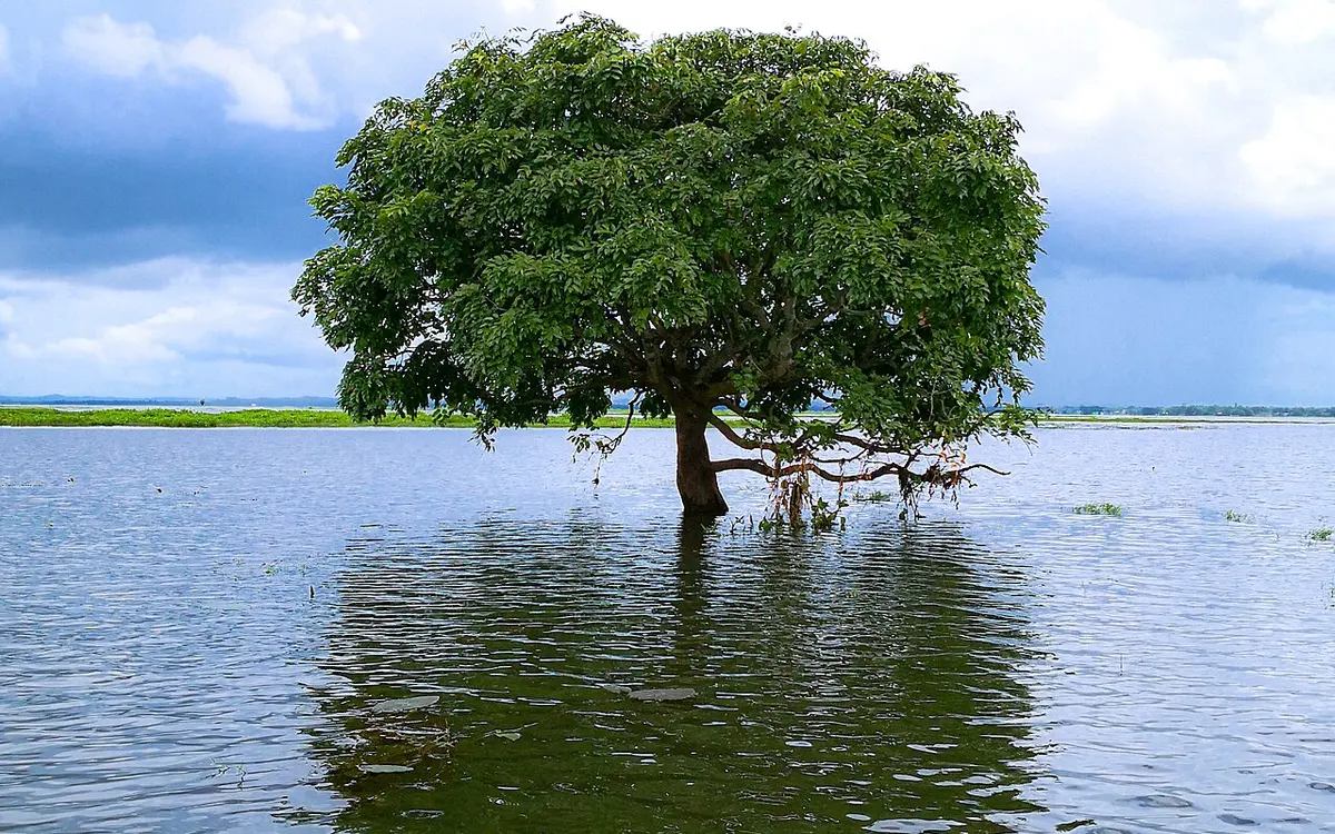 হাকালুকি হাওর, মৌলভীবাজার