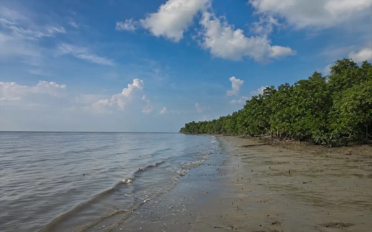 কটকা ও জামতলা সমুদ্র সৈকত, বাগেরহাট
